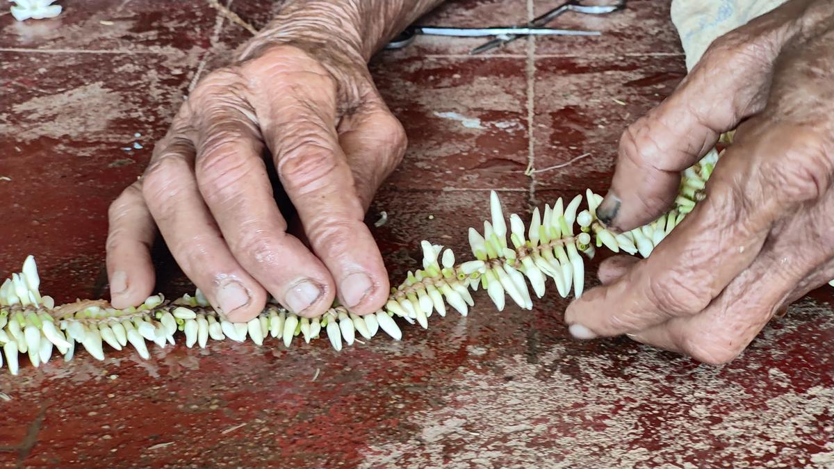 As prices of Udupi mallige plummet, a small Christian community pins